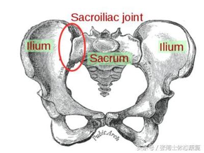 健身爱好者必学的骶髂关节矫正训练方法图解，轻松缓解腰臀疼痛