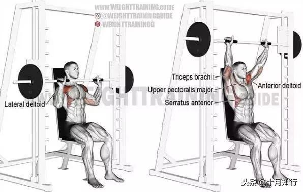 背部肌肉相关图片32