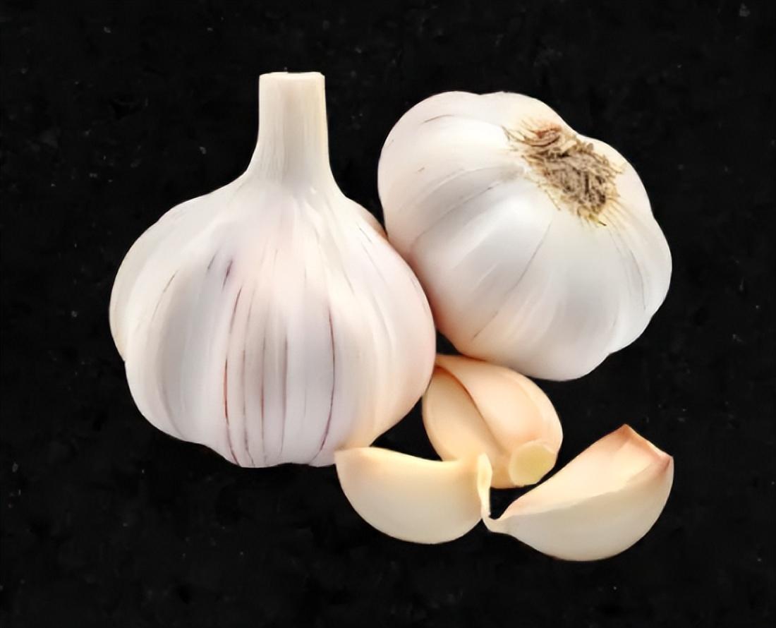 运动营养相关图片7