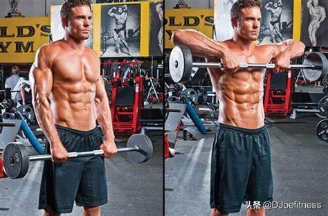 深蹲相关图片16