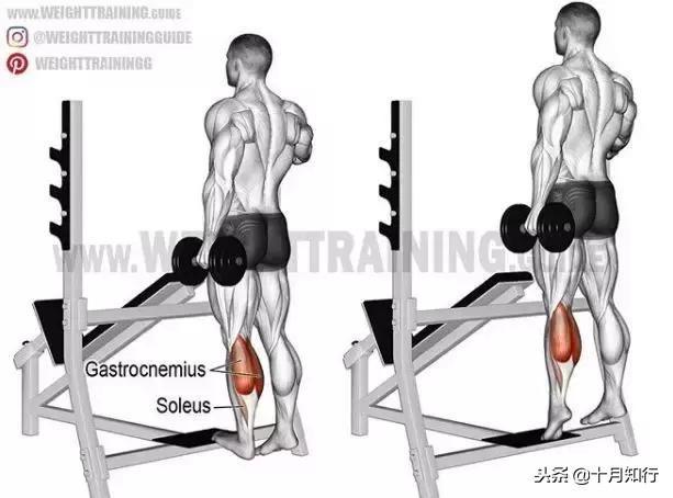 胸部肌肉相关图片64