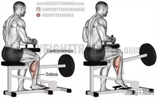 腹部肌肉相关图片63