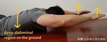 胸大肌相关图片12