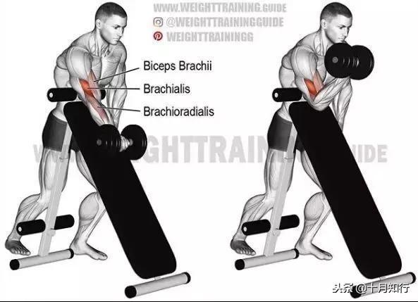 腹部肌肉相关图片39