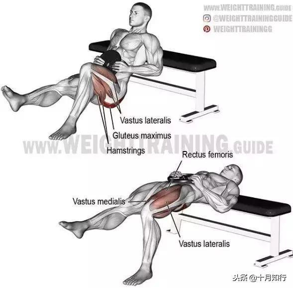 胸部肌肉相关图片49