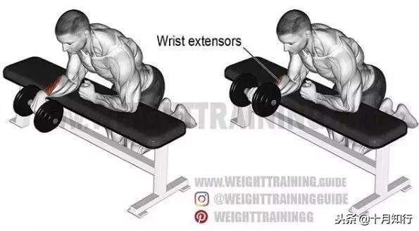 胸部肌肉相关图片43