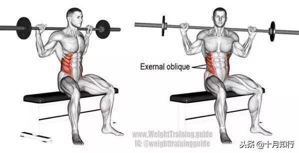 胸部肌肉相关图片31