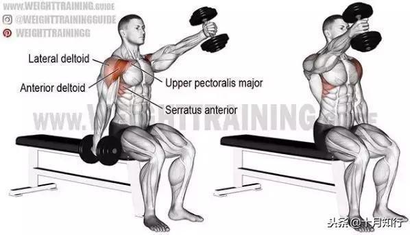腹部肌肉相关图片36