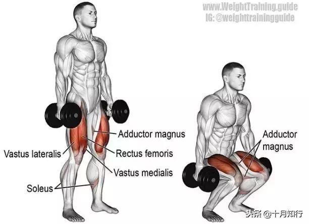 背部肌肉相关图片56