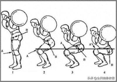 健身深蹲动作有哪些？详解黄金动作的正确姿势与变式训练