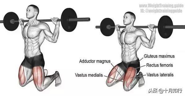 腹部肌肉相关图片54