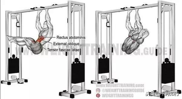 背部肌肉相关图片26