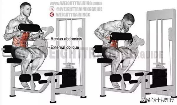 腹部肌肉相关图片24