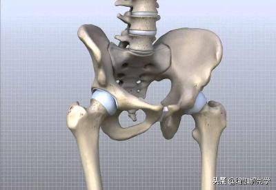健身爱好者必看：骨盆不稳怎么办？8个训练动作帮你稳定骨盆