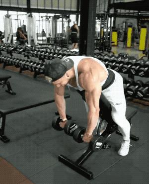 哑铃侧平举相关图片2