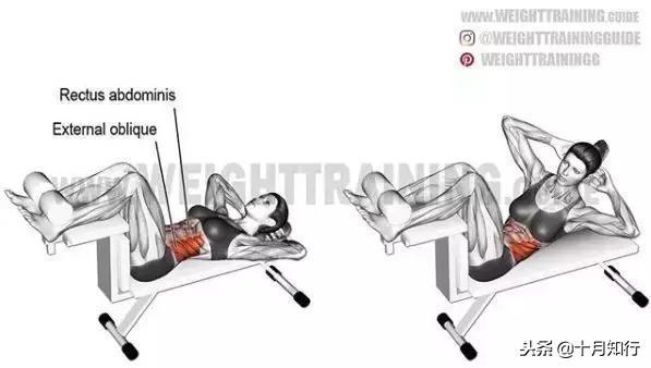 背部肌肉相关图片23