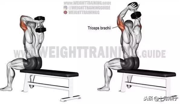 胸部肌肉相关图片40