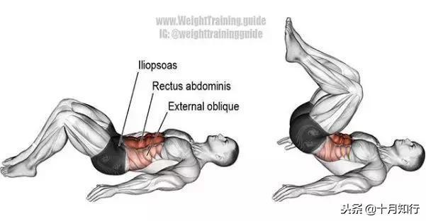 腹部肌肉相关图片30