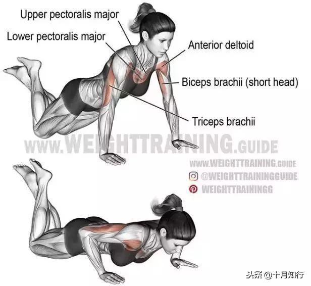 腹部肌肉相关图片6