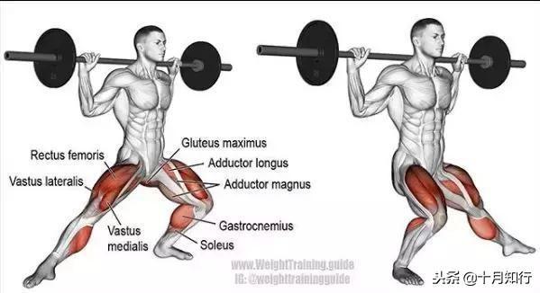 腹部肌肉相关图片60