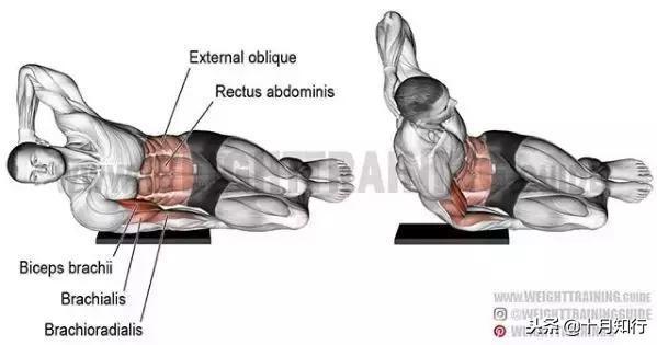 胸部肌肉相关图片25