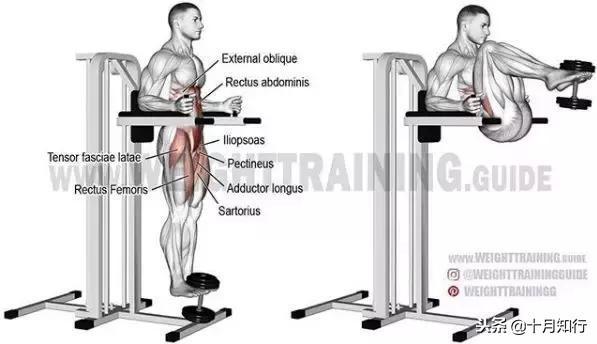 胸部肌肉相关图片28