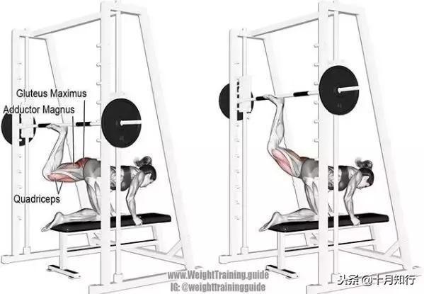 背部肌肉相关图片53