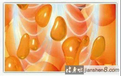 腹部相关图片2