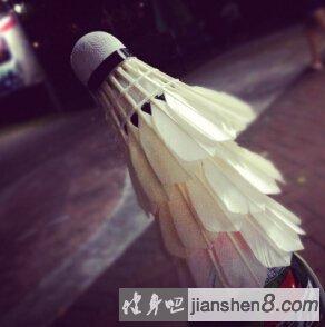 窄距俯卧撑相关图片1