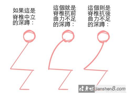 哑铃划船相关图片3
