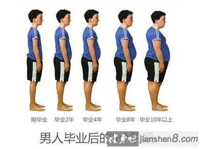 脂肪相关图片2