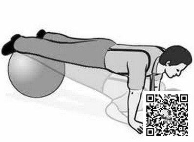 腹部肌肉相关图片1