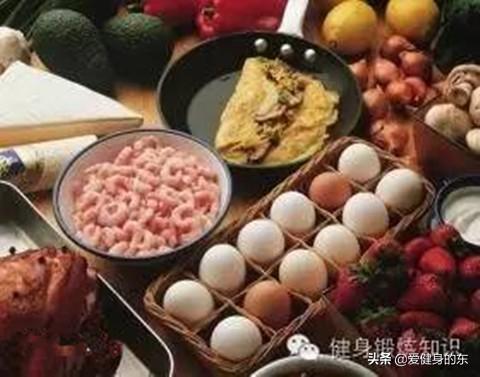 蛋白质相关图片3