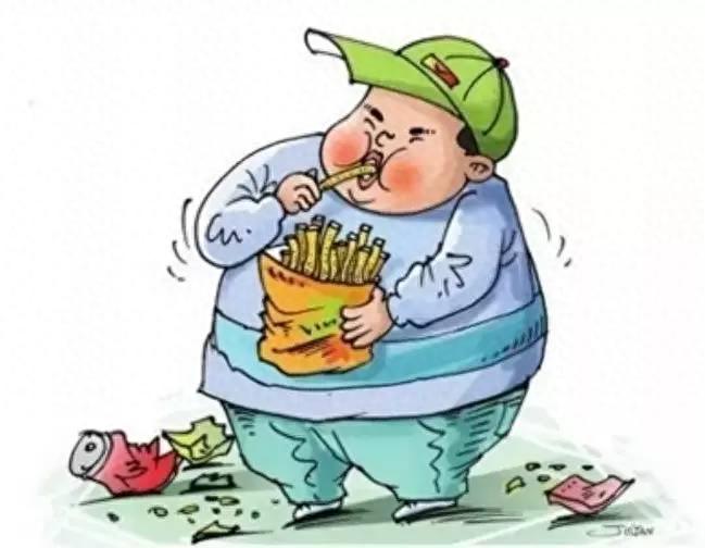 高蛋白食物相关图片4