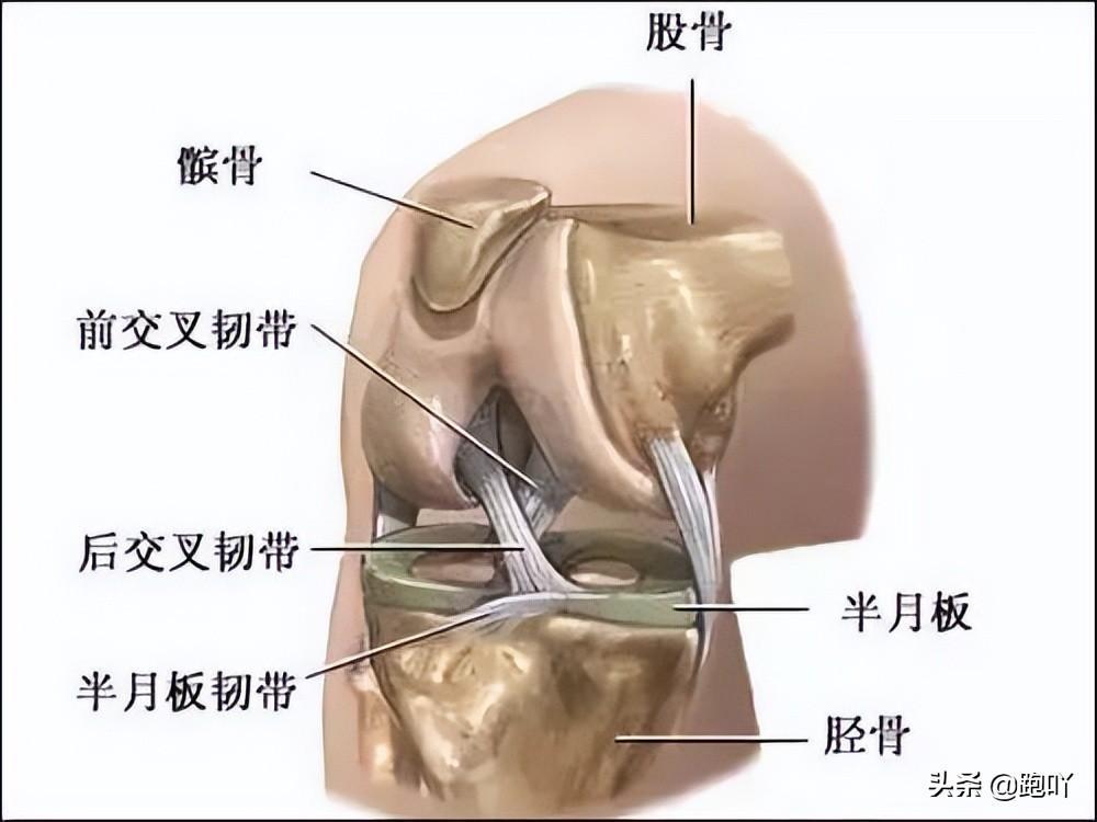 跟腱炎相关图片2