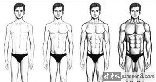 肌肥大相关图片1