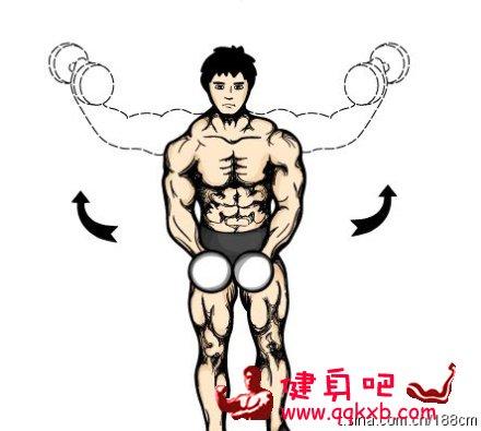 侧平举相关图片1