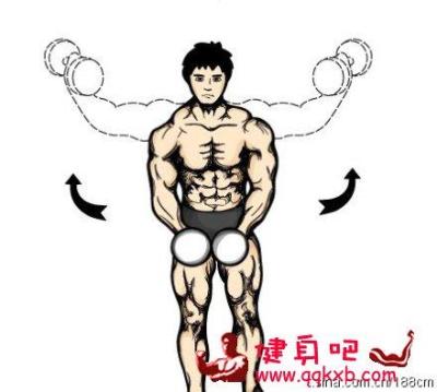 侧平举练三角肌中束:如何有效训练肩部肌肉,改善线条与围度?