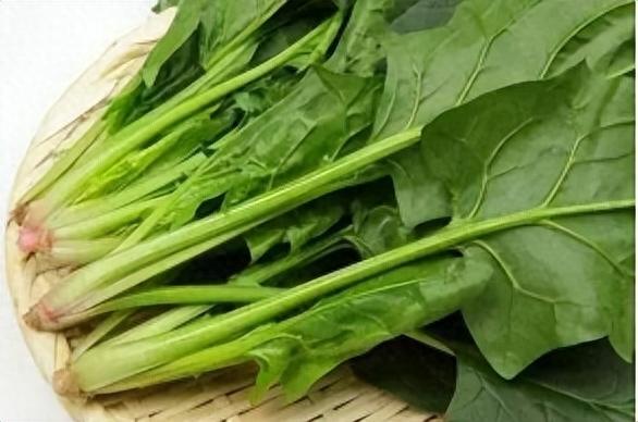 花椰菜相关图片8