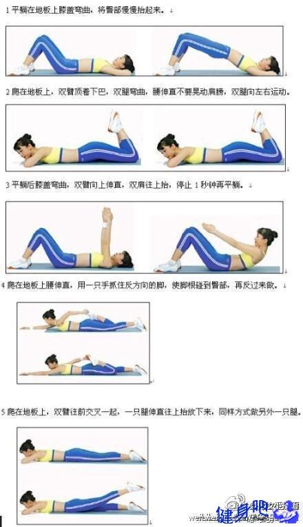 腹部相关图片1
